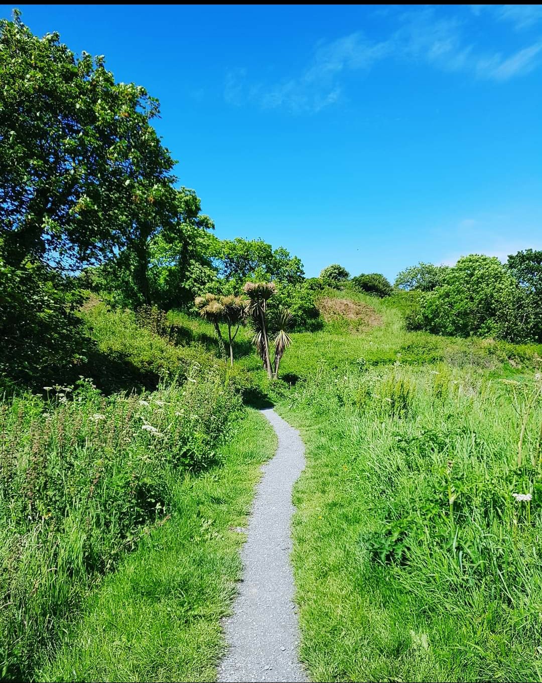 Orlock Point: A Peaceful Haven on the Coast - Trek NI