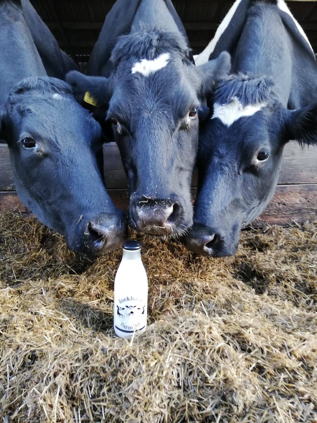 Rockhouse Farm NI Trek NI