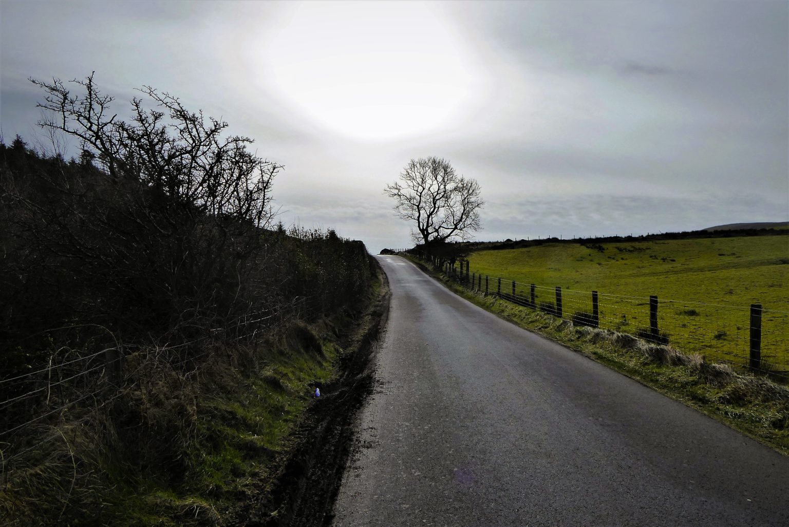 A Looped Walk from Drumkeeragh Forest - Trek NI